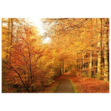 Charmante Woning Op Rustig Park Met Fietsen Semesterbostad *