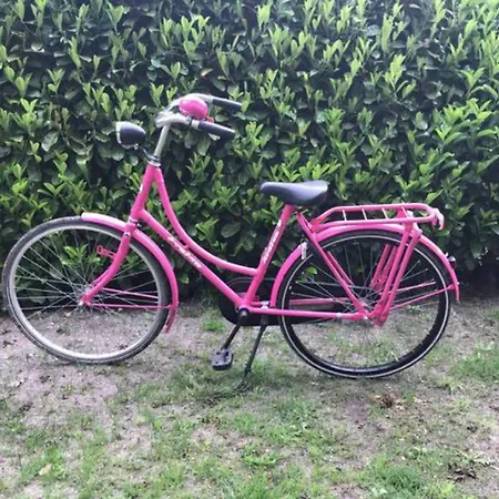 Semesterbostad Charmante Woning Op Rustig Park Met Fietsen