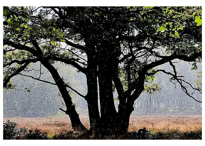 Charmante Woning Op Rustig Park Met Fietsen Vakantiehuis *