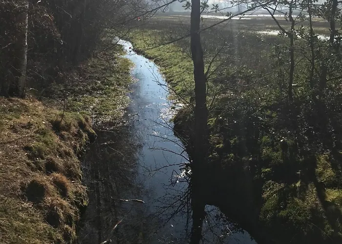 Vakantiehuis Charmante Woning Op Rustig Park Met Fietsen