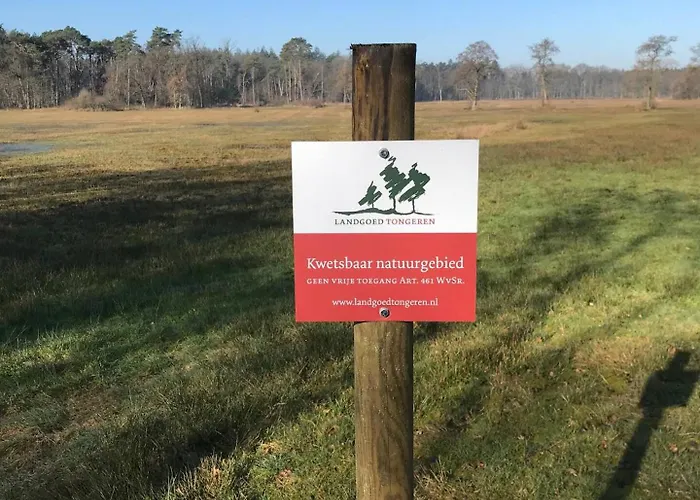 Charmante Woning Op Rustig Park Met Fietsen Vakantiehuis Epe