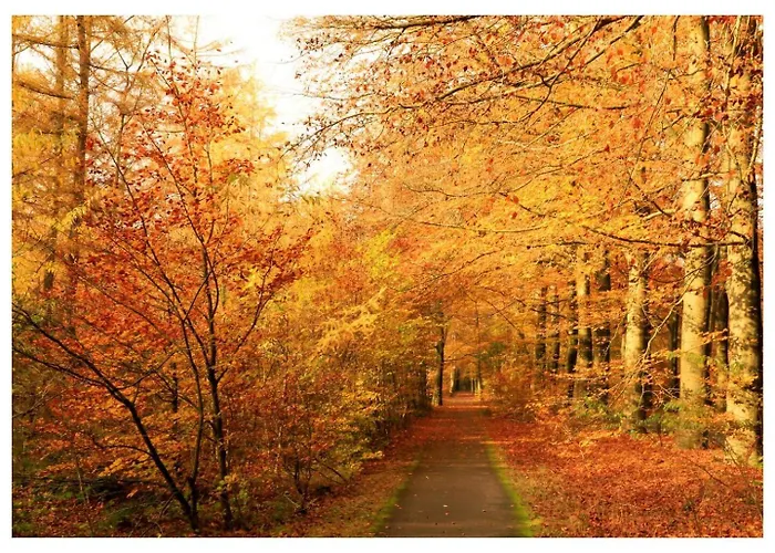 Charmante Woning Op Rustig Park Met Fietsen Vakantiehuis *