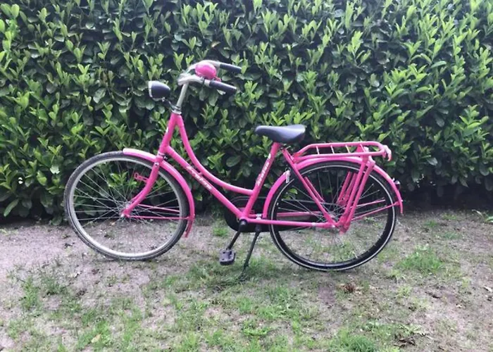 Vakantiehuis Charmante Woning Op Rustig Park Met Fietsen